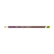 Derwent Coloursoft Kuru Boya Kalemi C500 Lichen Green