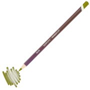 Derwent Coloursoft Kuru Boya Kalemi C500 Lichen Green